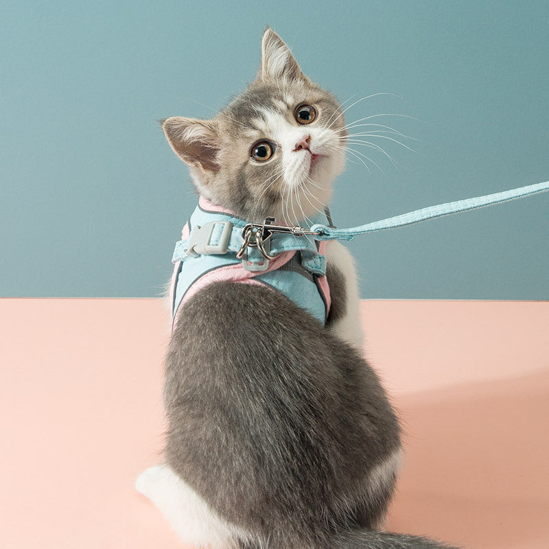 Cat Traction Rope Chest Strap Harness