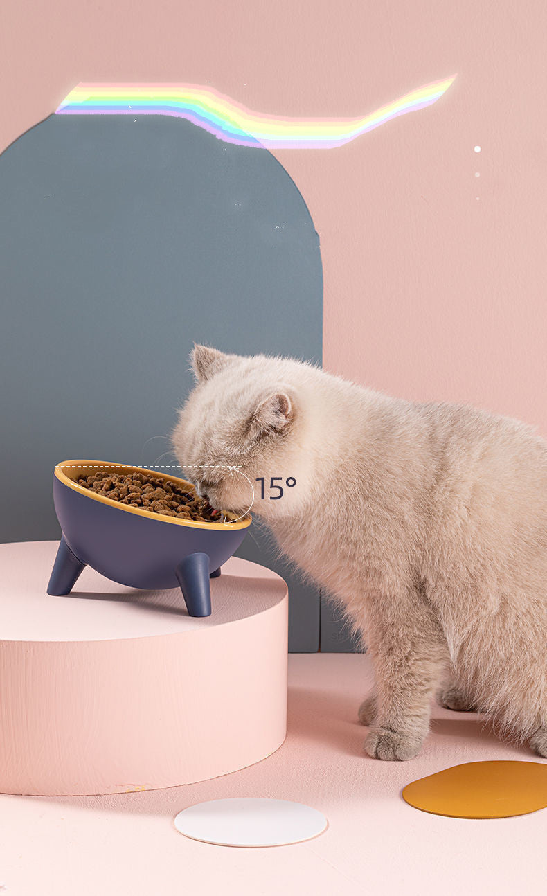Cat Dog Bowl With Stand for Pet Feeding