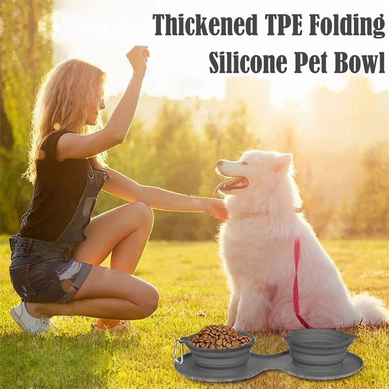 Rubber Foldable Double Bowl for Dog or Cat feeding