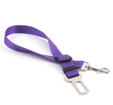 Fixed Polyester Dog Strap Leash