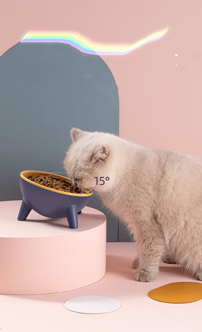 Cat Dog Bowl With Stand for Pet Feeding