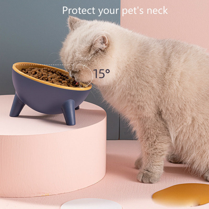 Cat Dog Bowl With Stand for Pet Feeding
