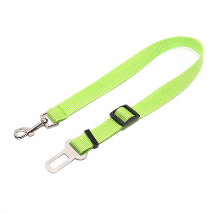Fixed Polyester Dog Strap Leash