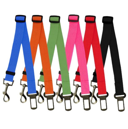 Fixed Polyester Dog Strap Leash