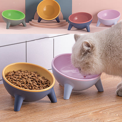 Cat Dog Bowl With Stand for Pet Feeding