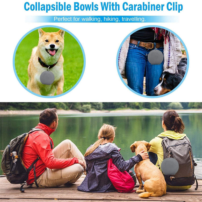 Rubber Foldable Double Bowl for Dog or Cat feeding