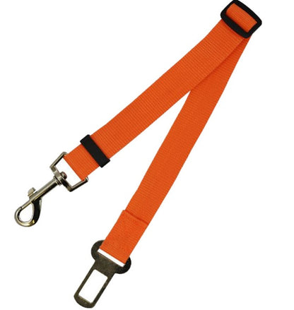 Fixed Polyester Dog Strap Leash