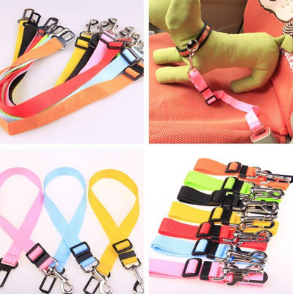 Fixed Polyester Dog Strap Leash